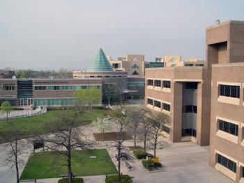 Central campus walkway